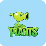 隊報：皇馬今夏可能報價科納特，同時關注薩利巴